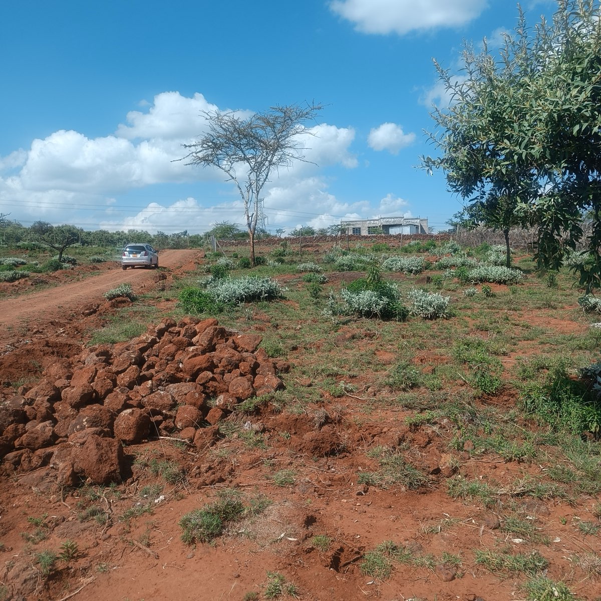 Plots with access road in Ngong